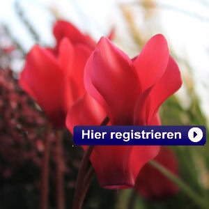 Der Themen TV Newsletter