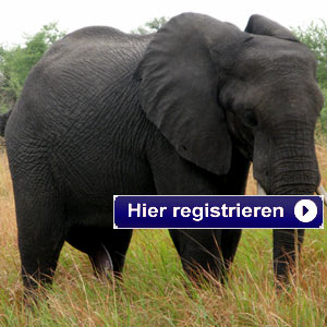 Der Themen TV Newsletter